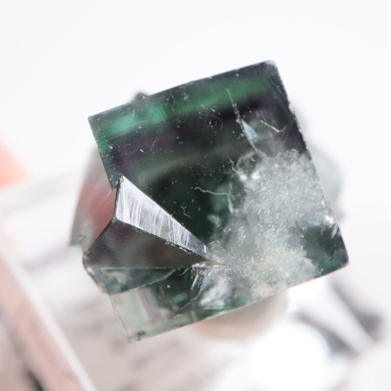 �ե����꡼�ۡ��륺�ݥ��åȻ� �ե����饤��