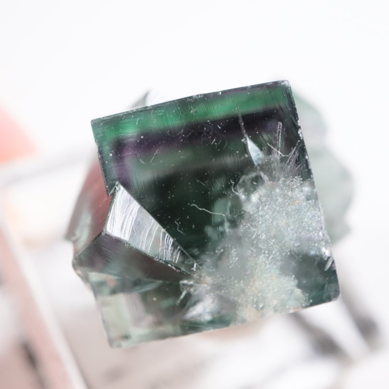 �ե����꡼�ۡ��륺�ݥ��åȻ� �ե����饤��