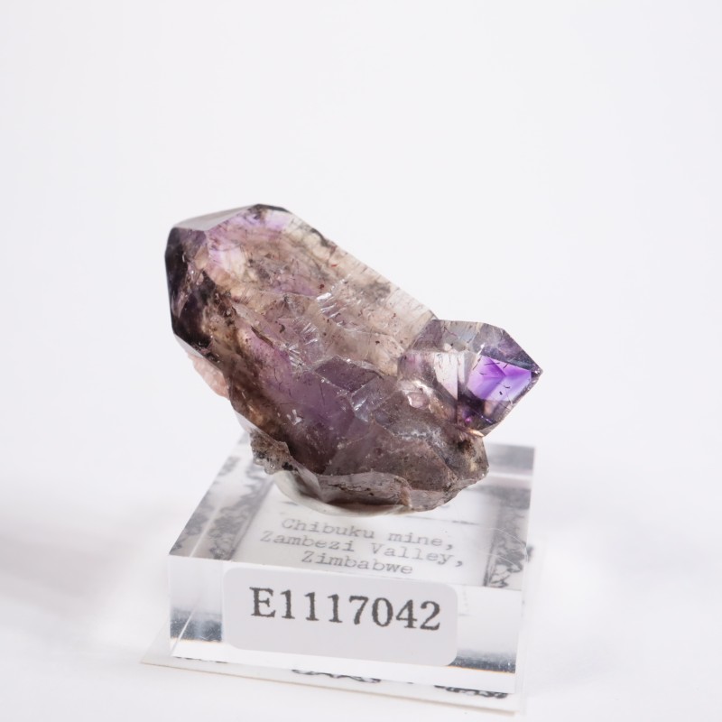 ����Х֥��� ���᥷����