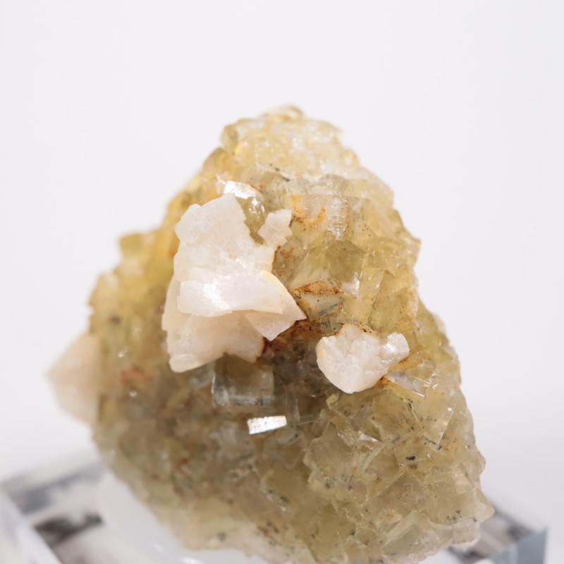 �⥹���ʹۻ� �ե����饤��