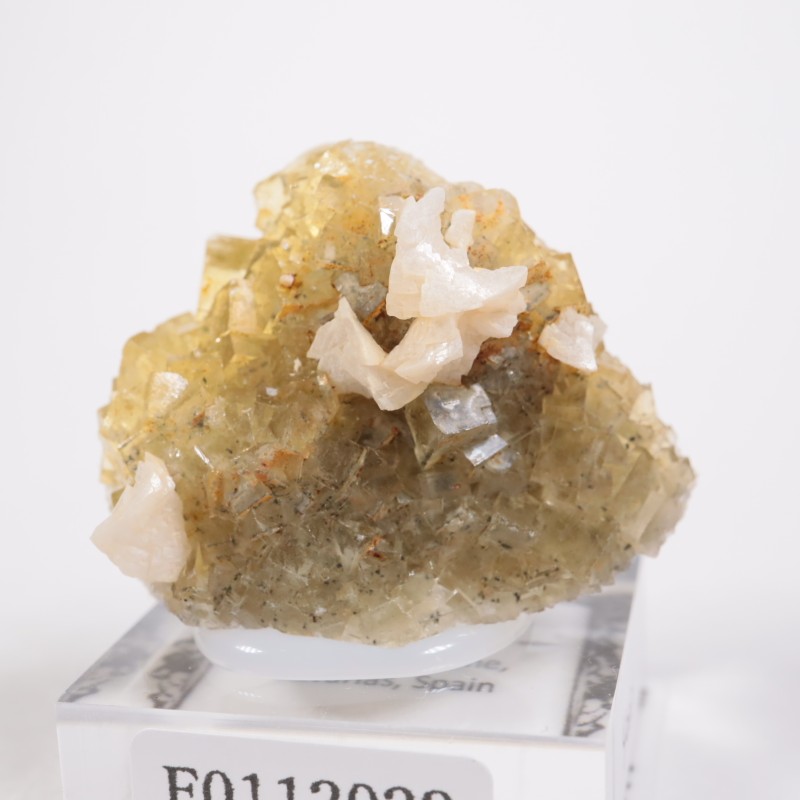 �⥹���ʹۻ� �ե����饤��