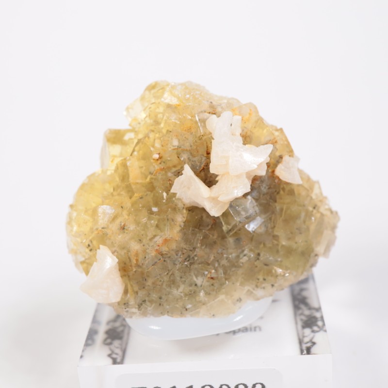 �⥹���ʹۻ� �ե����饤��