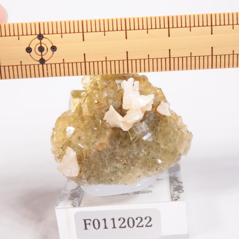 �⥹���ʹۻ� �ե����饤��