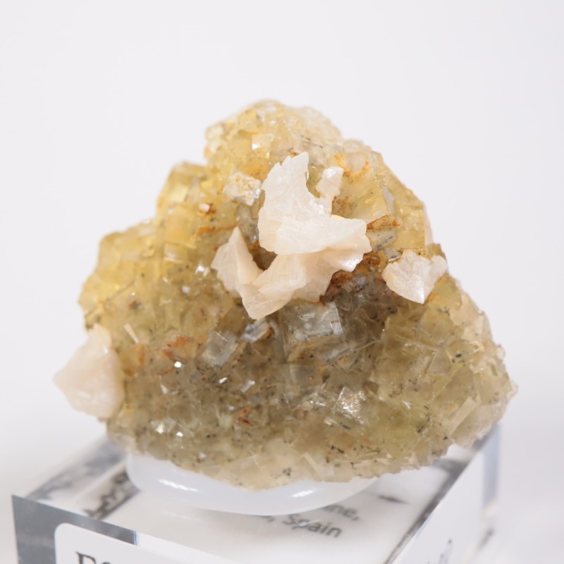 �⥹���ʹۻ� �ե����饤��