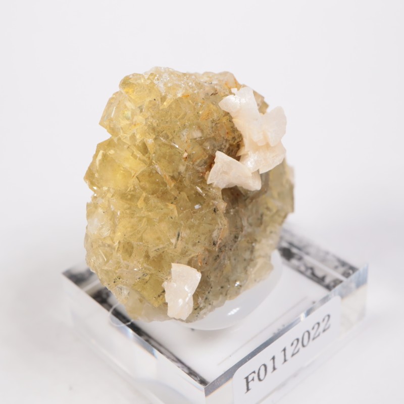 �⥹���ʹۻ� �ե����饤��