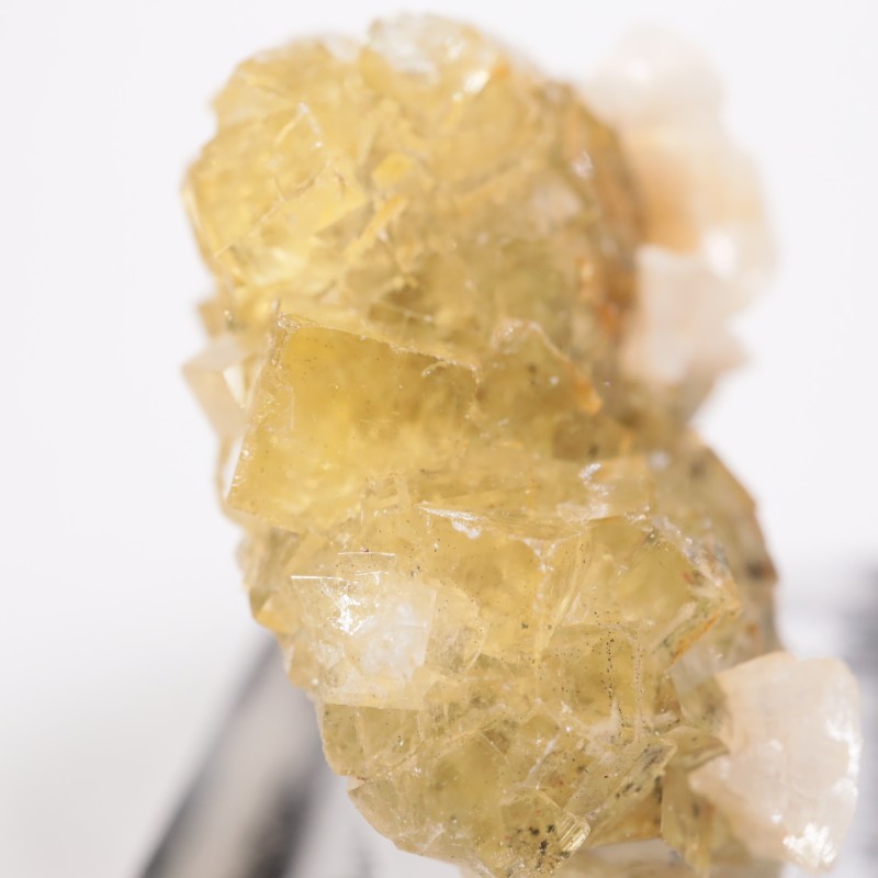 �⥹���ʹۻ� �ե����饤��