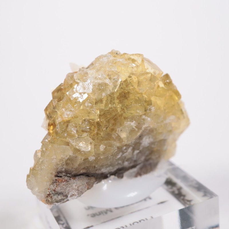 �⥹���ʹۻ� �ե����饤��