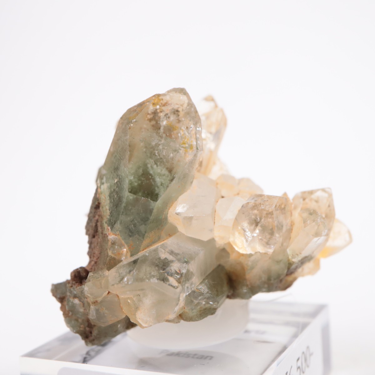 �ѥ������� �������饤�ȥ��󥯥�����