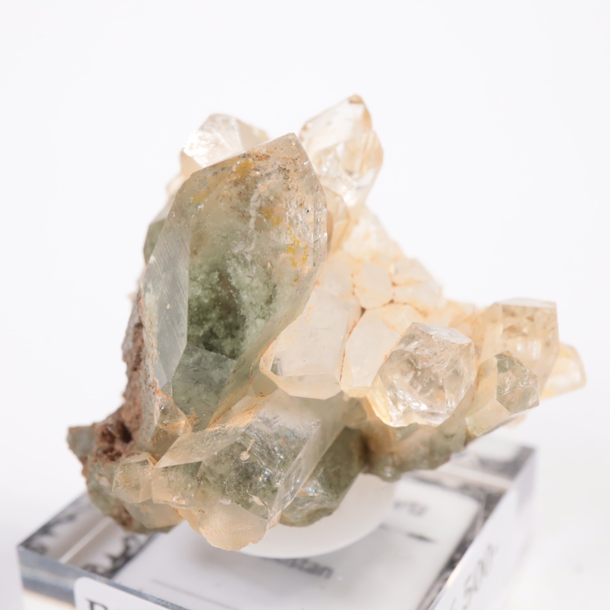 �ѥ������� �������饤�ȥ��󥯥�����