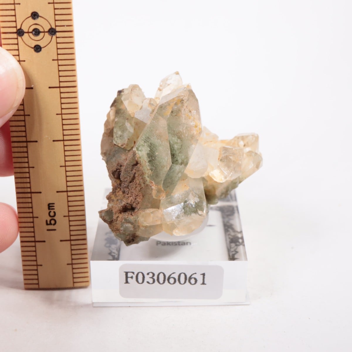 �ѥ������� �������饤�ȥ��󥯥�����