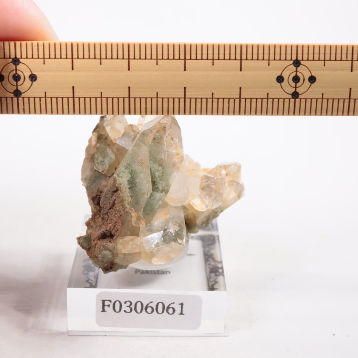 �ѥ������� �������饤�ȥ��󥯥�����