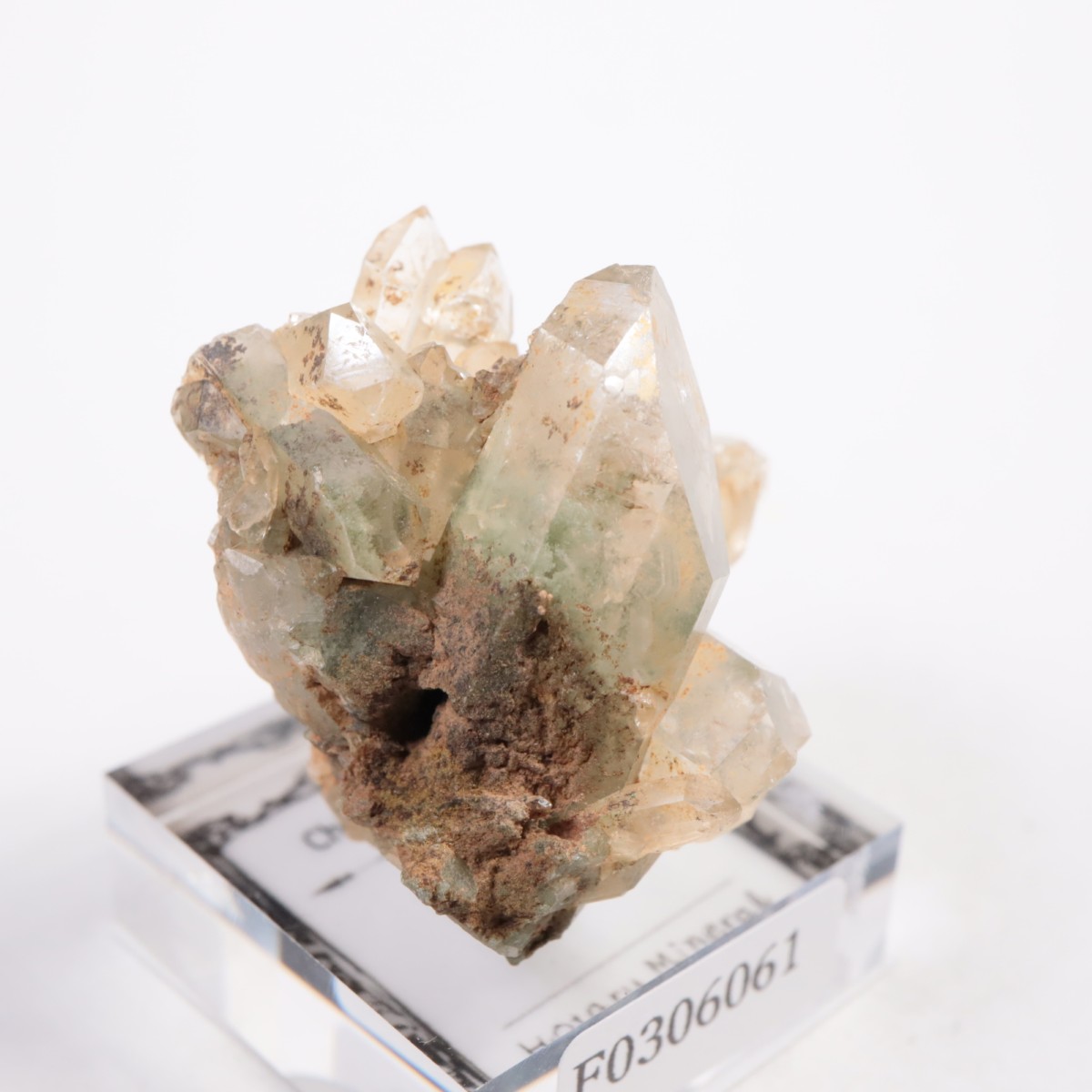 �ѥ������� �������饤�ȥ��󥯥�����