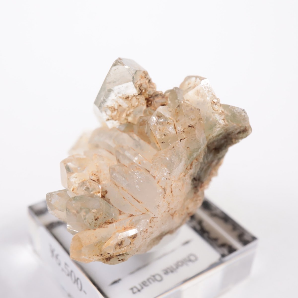 �ѥ������� �������饤�ȥ��󥯥�����