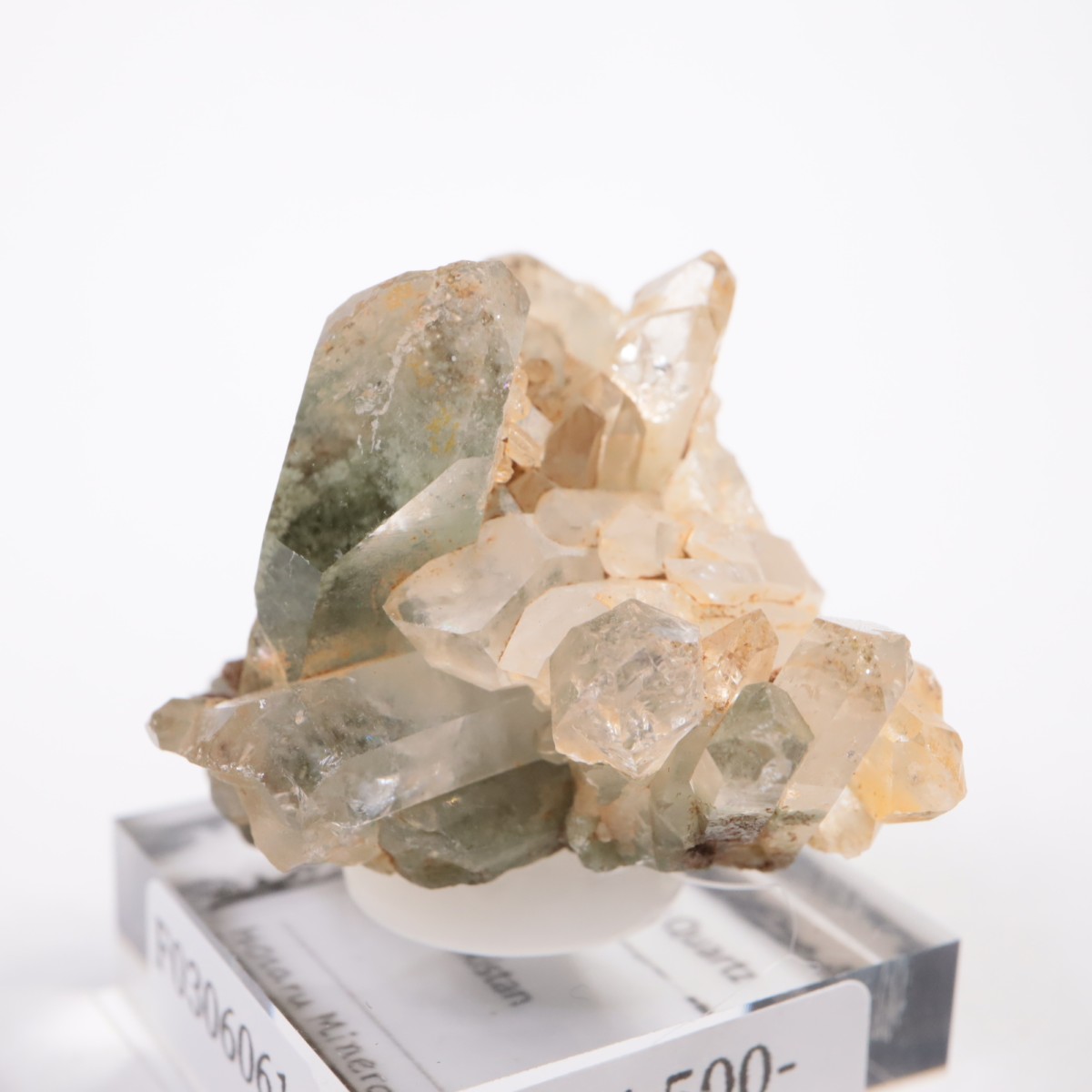 �ѥ������� �������饤�ȥ��󥯥�����