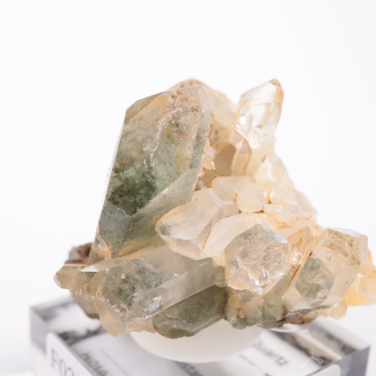 �ѥ������� �������饤�ȥ��󥯥�����