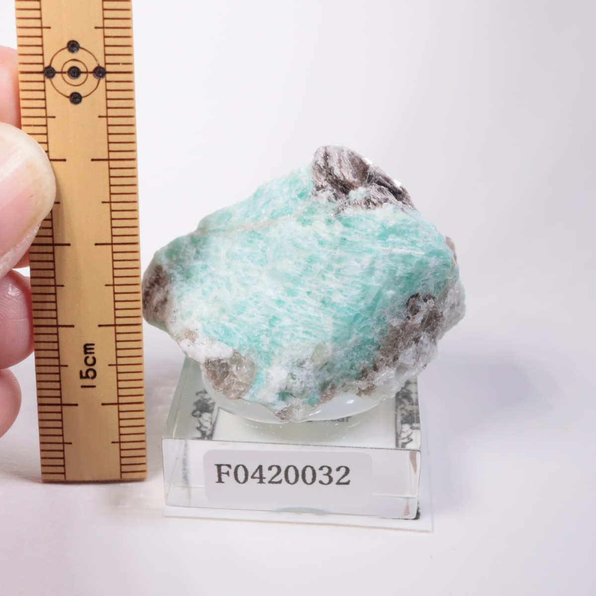 �ޥ��������뻺 ���ޥ��ʥ��ȡ�����