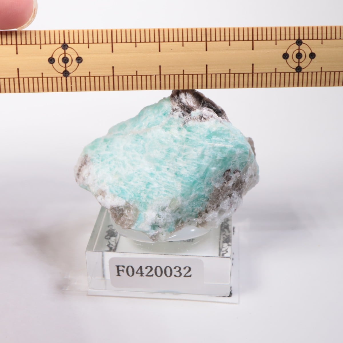 �ޥ��������뻺 ���ޥ��ʥ��ȡ�����