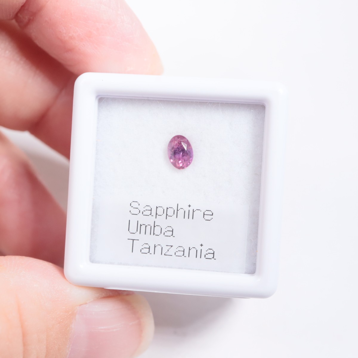 ����л� ���ե�����