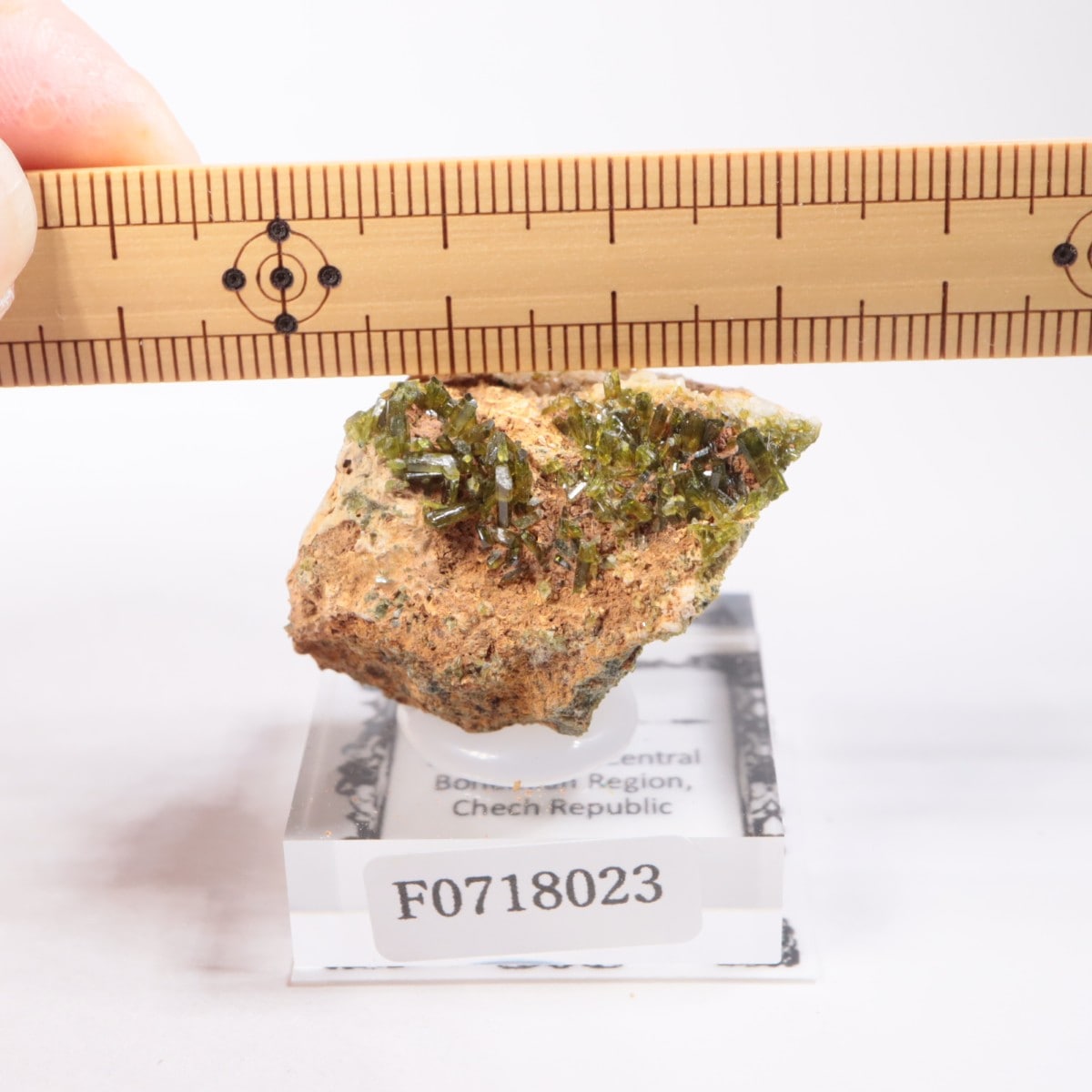 �������������ԥɡ���