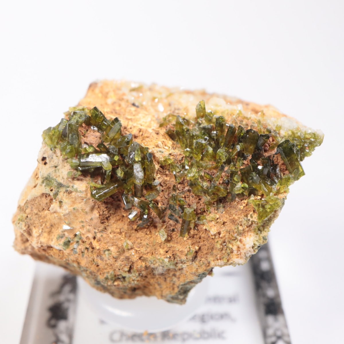 �������������ԥɡ���