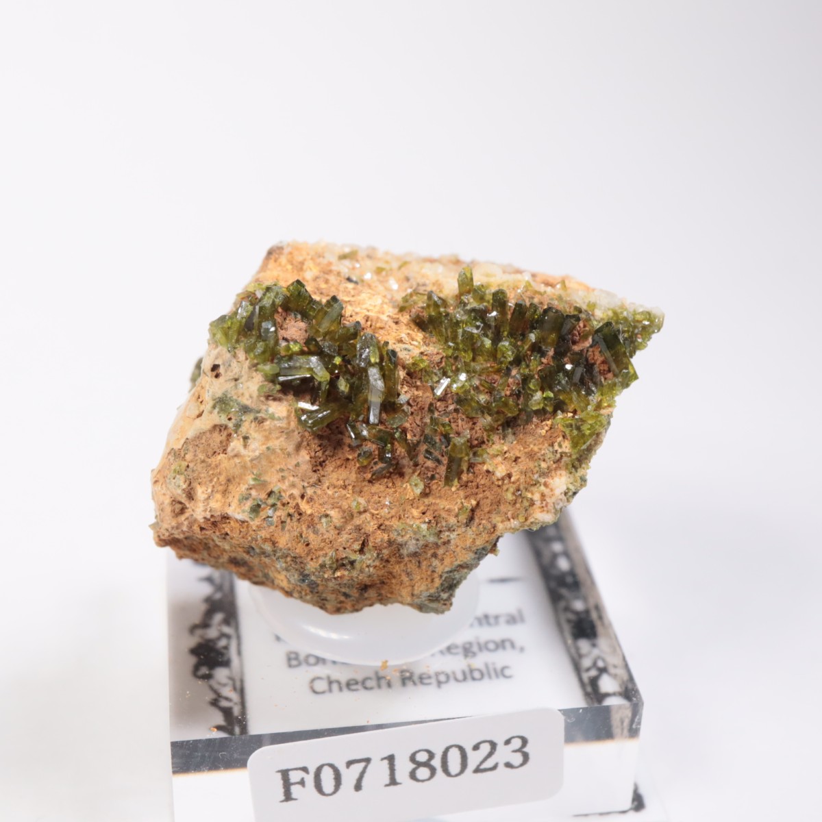 �������������ԥɡ���