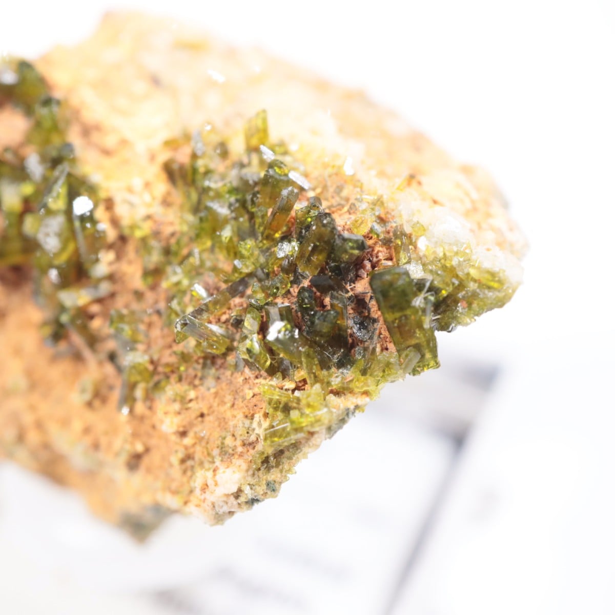 �������������ԥɡ���