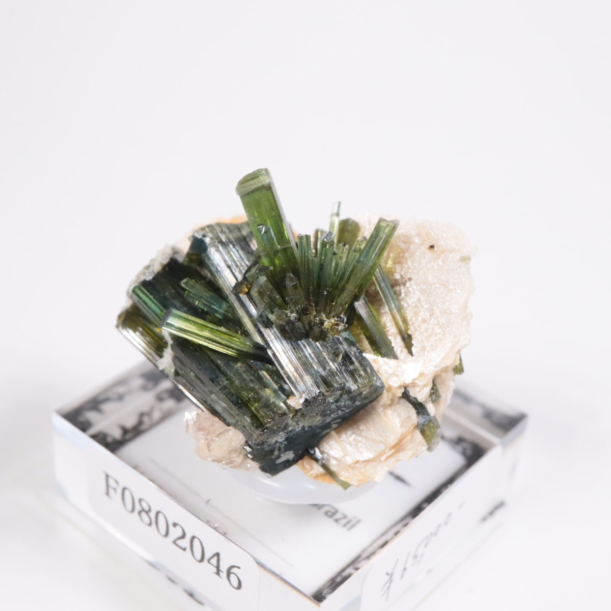 �ߥʥ������饤������ �ȥ�ޥ��