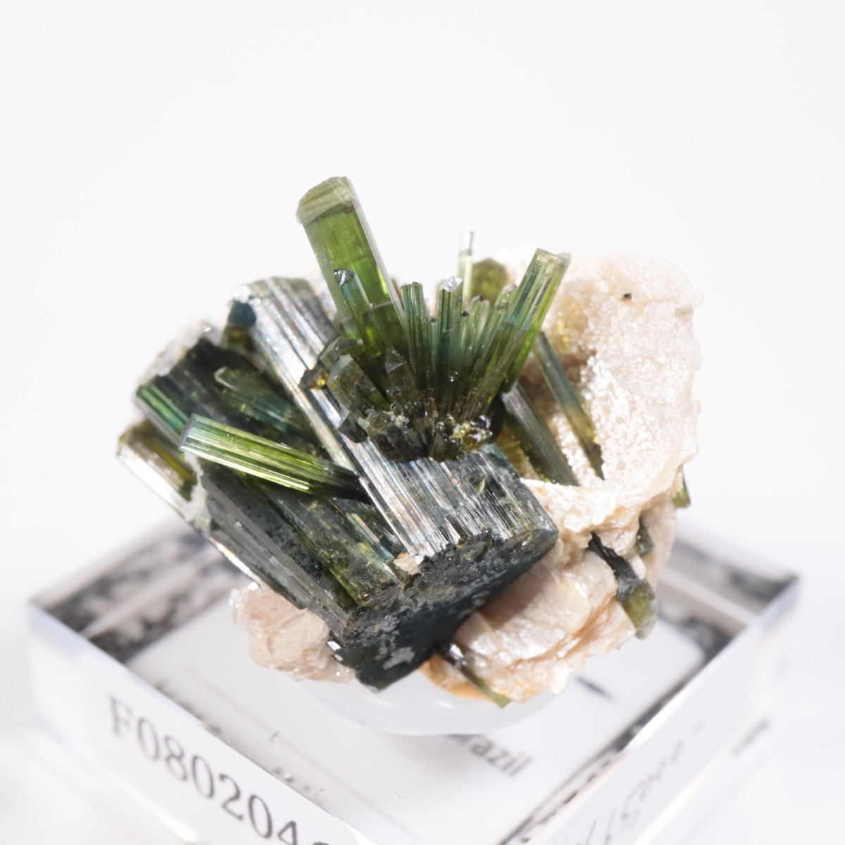 �ߥʥ������饤������ �ȥ�ޥ��