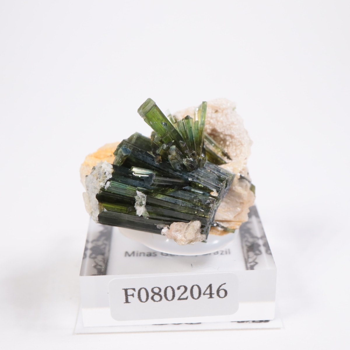 �ߥʥ������饤������ �ȥ�ޥ��