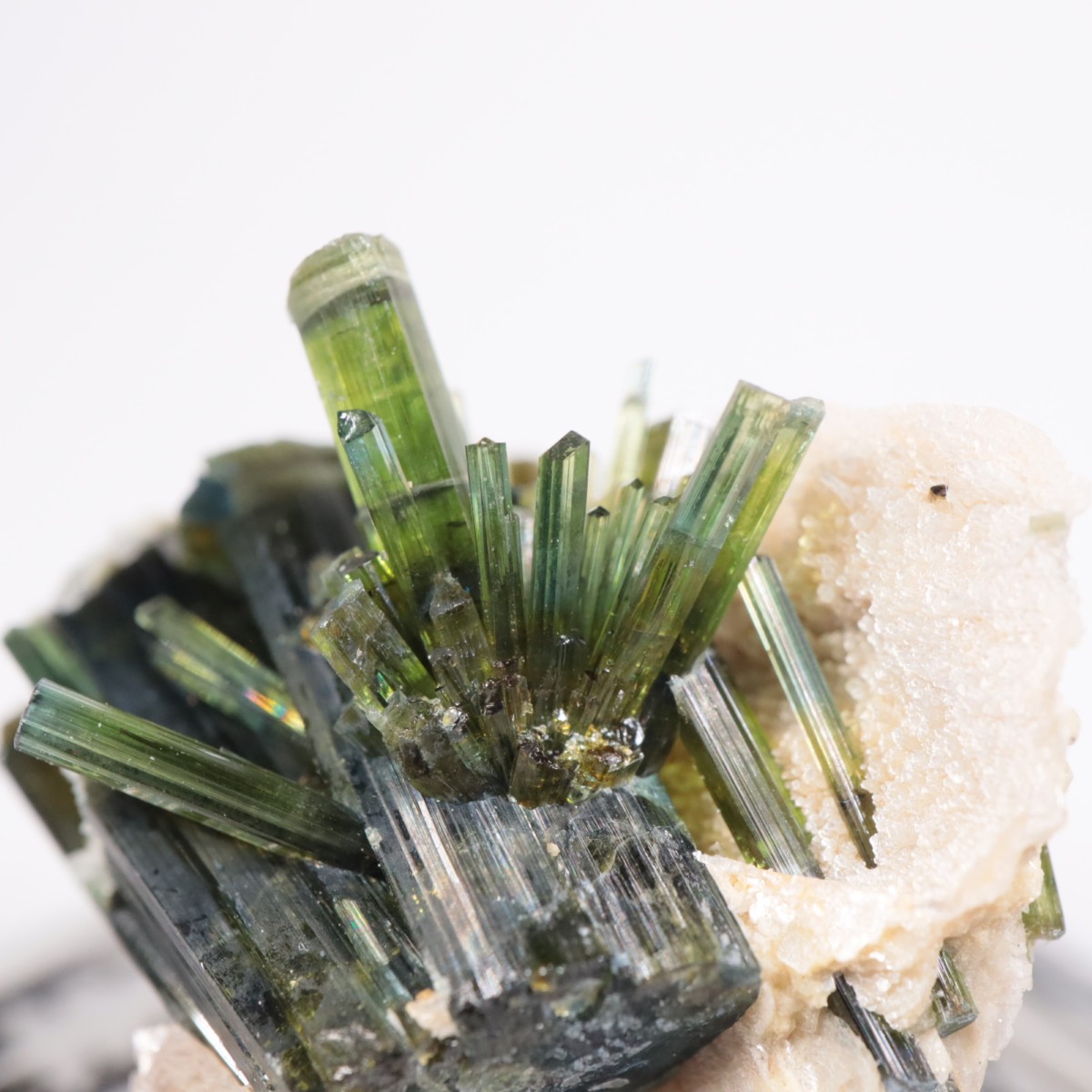 �ߥʥ������饤������ �ȥ�ޥ��