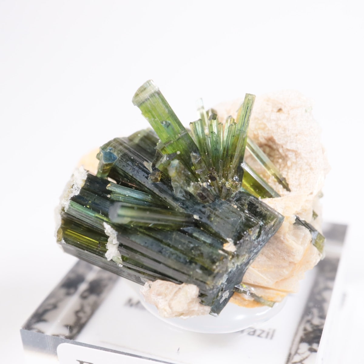 �ߥʥ������饤������ �ȥ�ޥ��