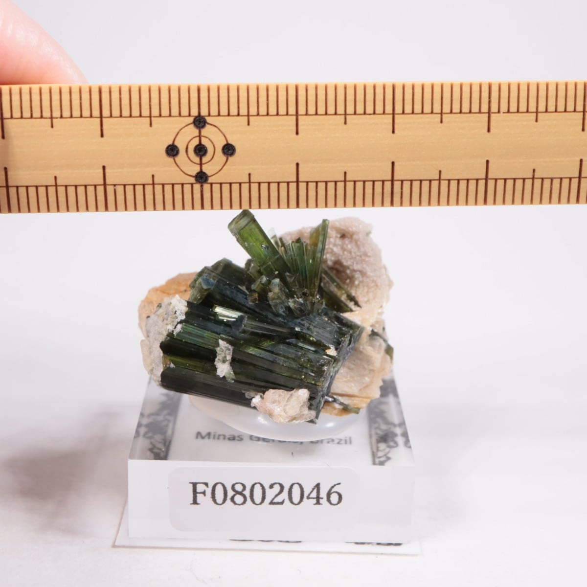 �ߥʥ������饤������ �ȥ�ޥ��