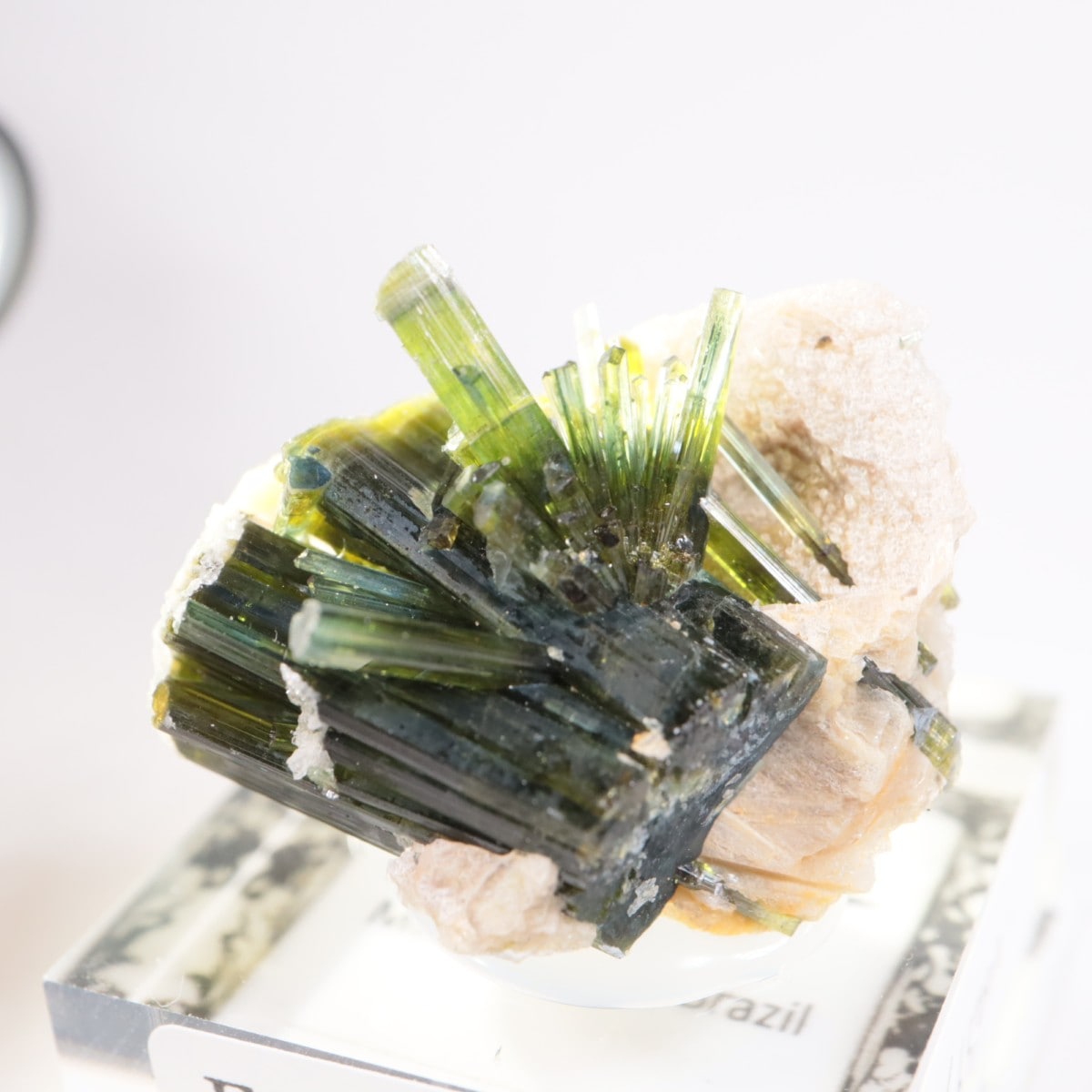 �ߥʥ������饤������ �ȥ�ޥ��