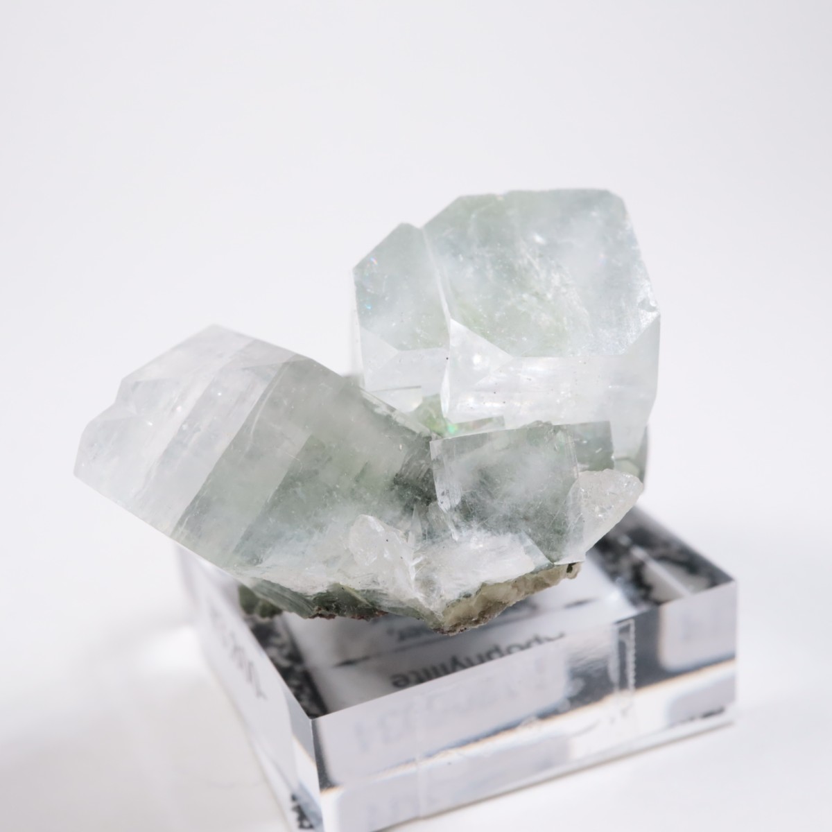 ����ɻ� ���ݥե��饤��