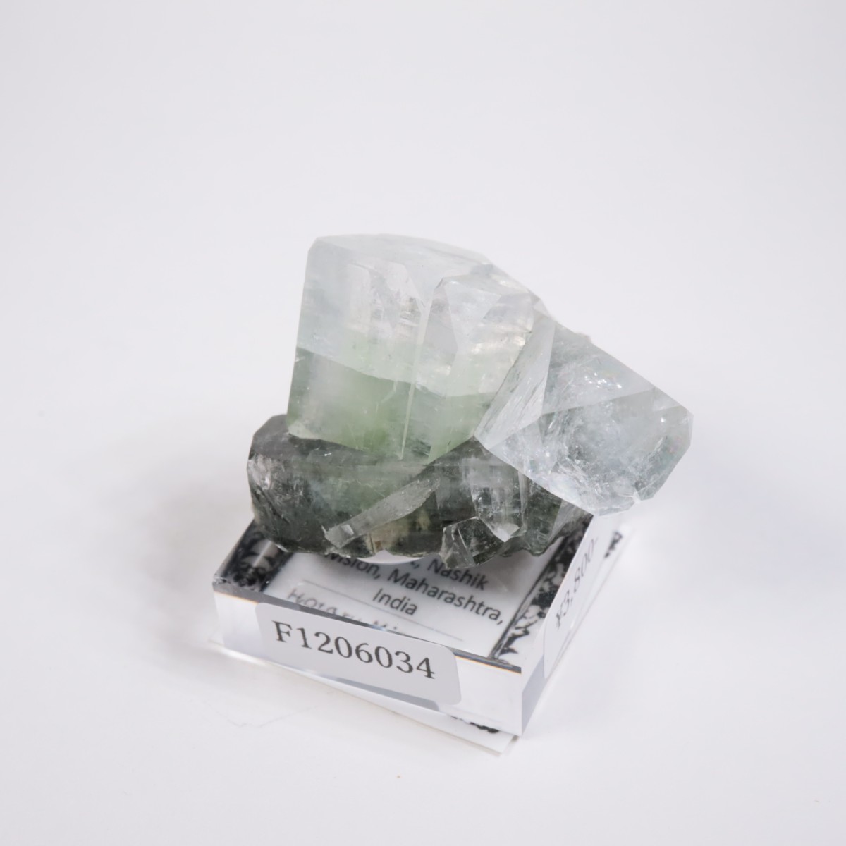 ����ɻ� ���ݥե��饤��