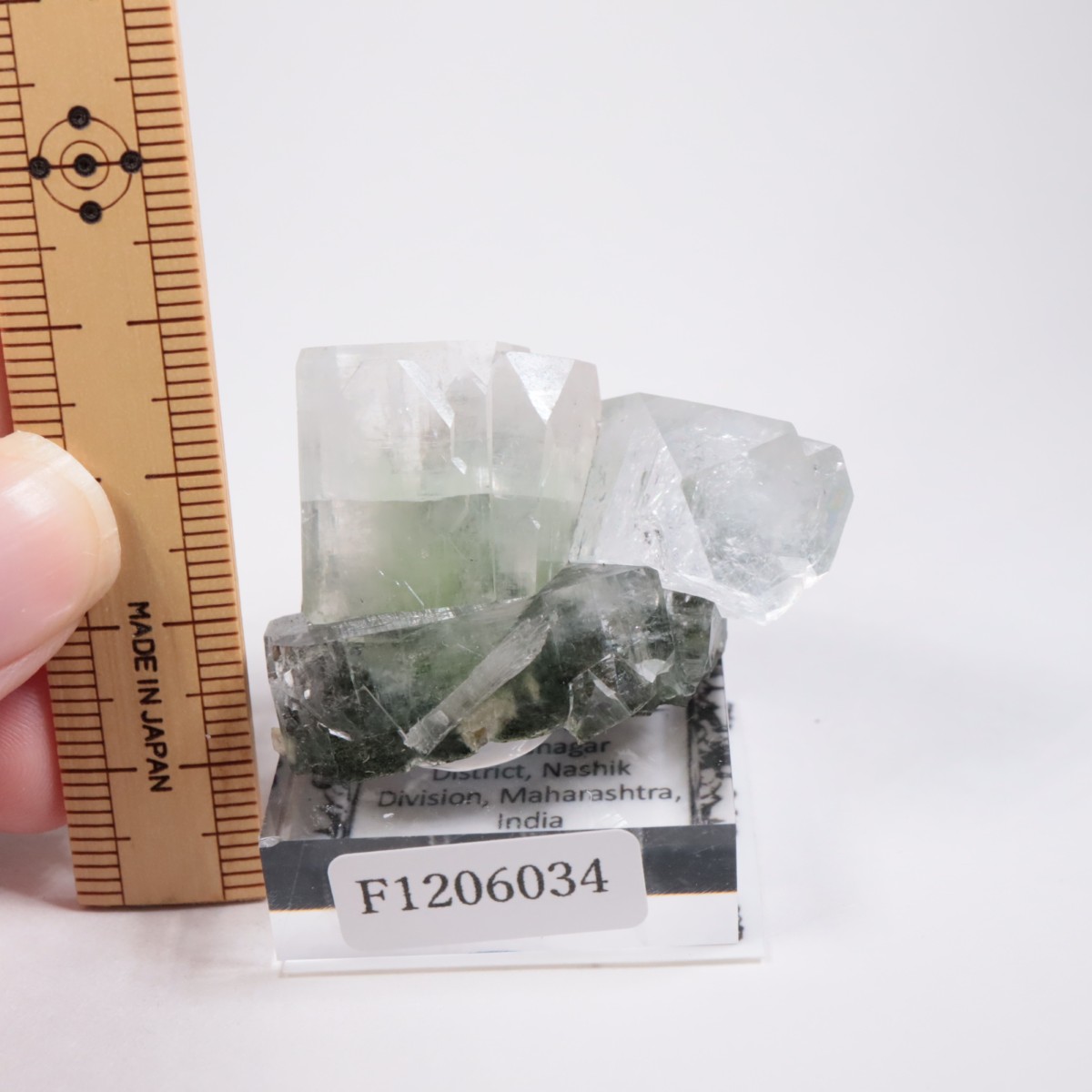 ����ɻ� ���ݥե��饤��