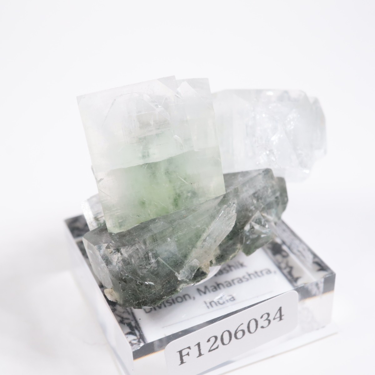 ����ɻ� ���ݥե��饤��