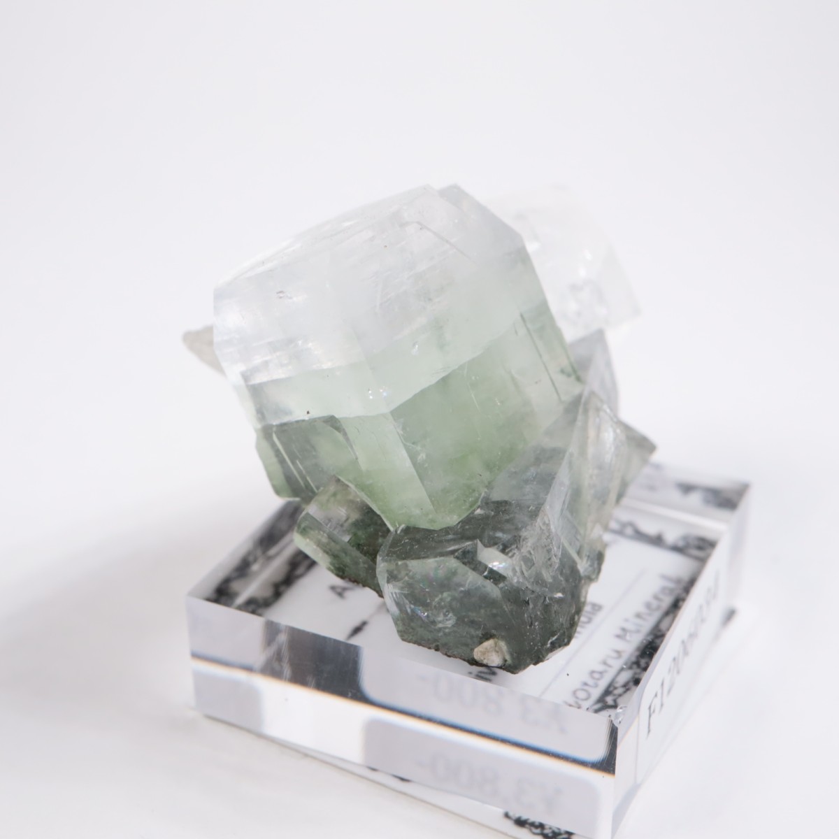 ����ɻ� ���ݥե��饤��