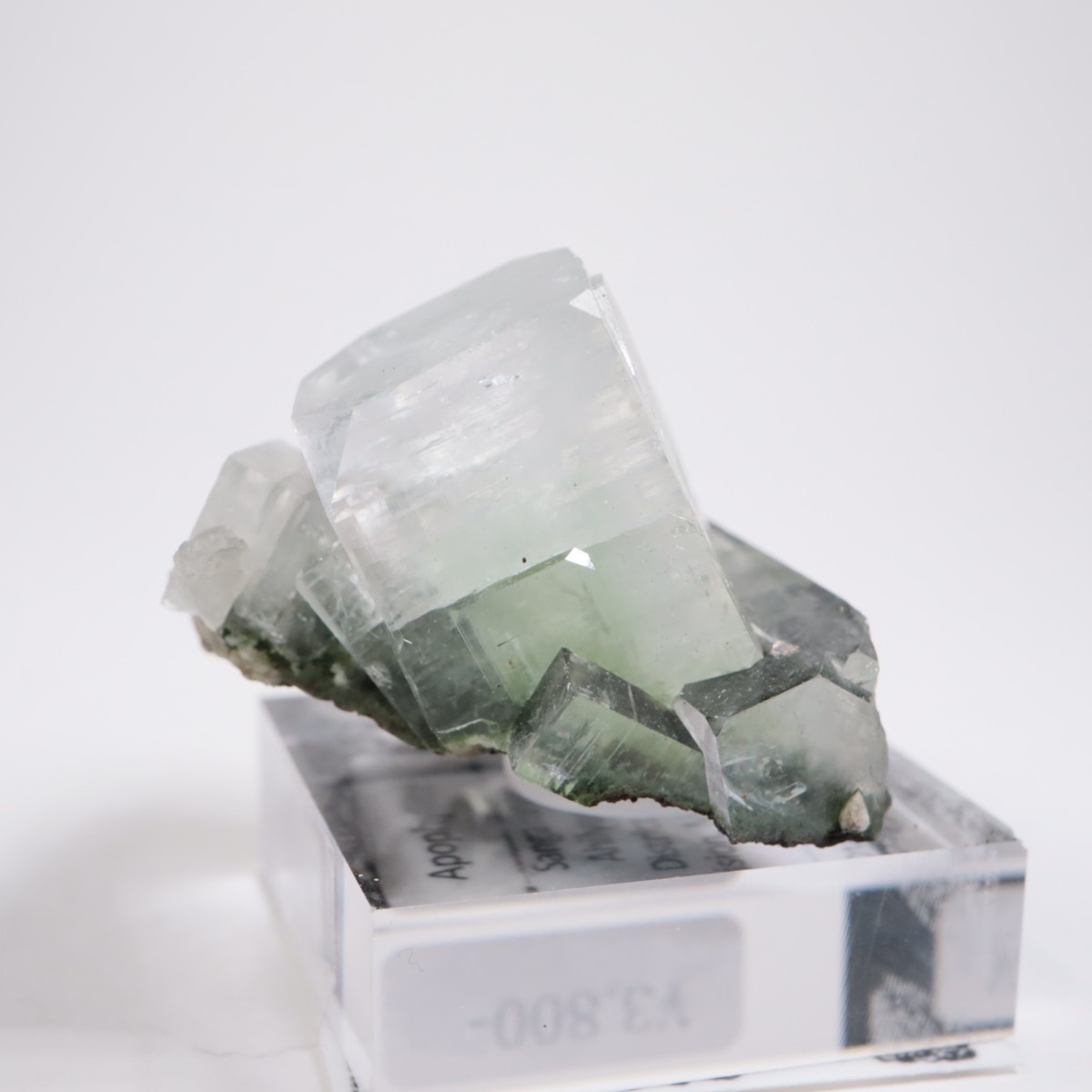 ����ɻ� ���ݥե��饤��