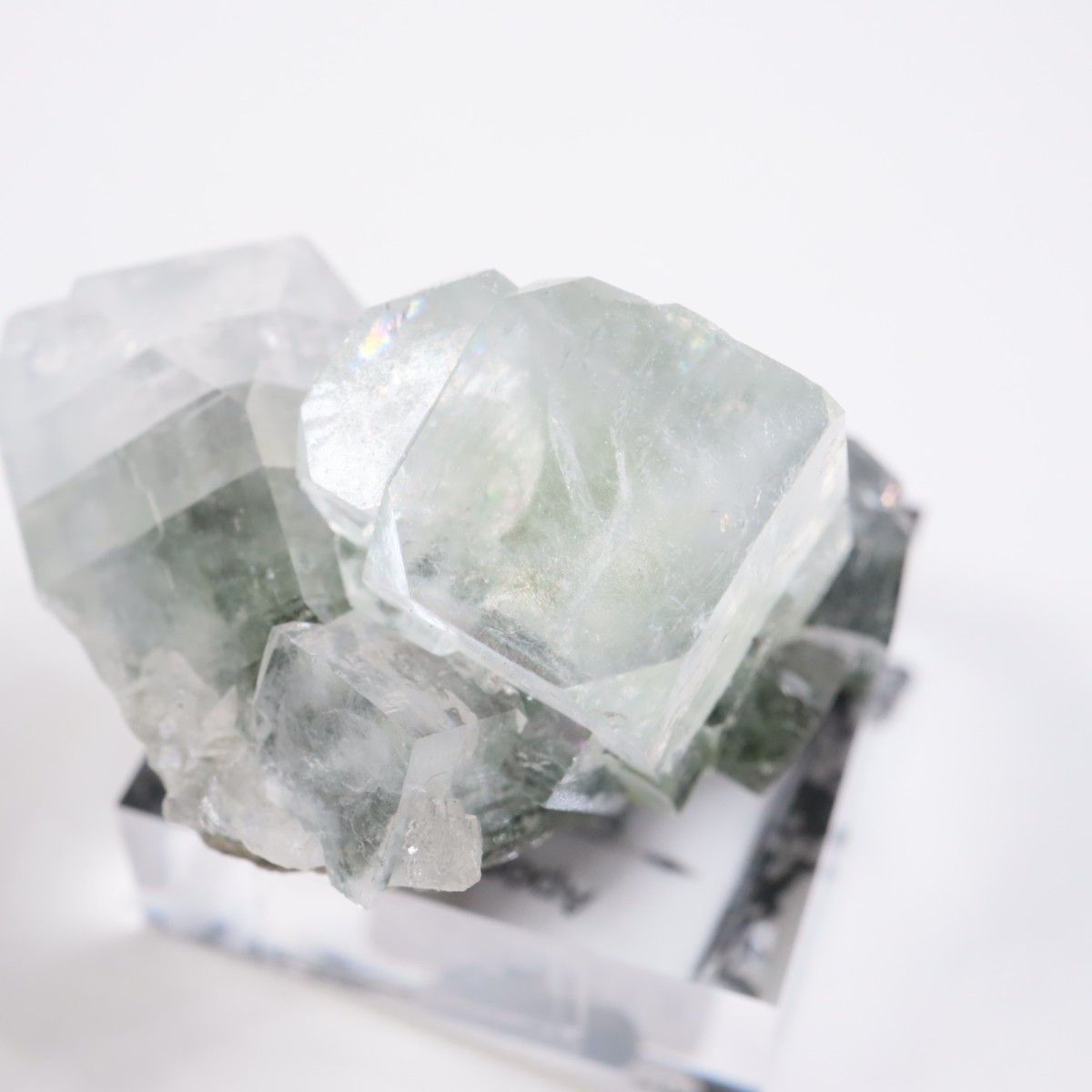 ����ɻ� ���ݥե��饤��