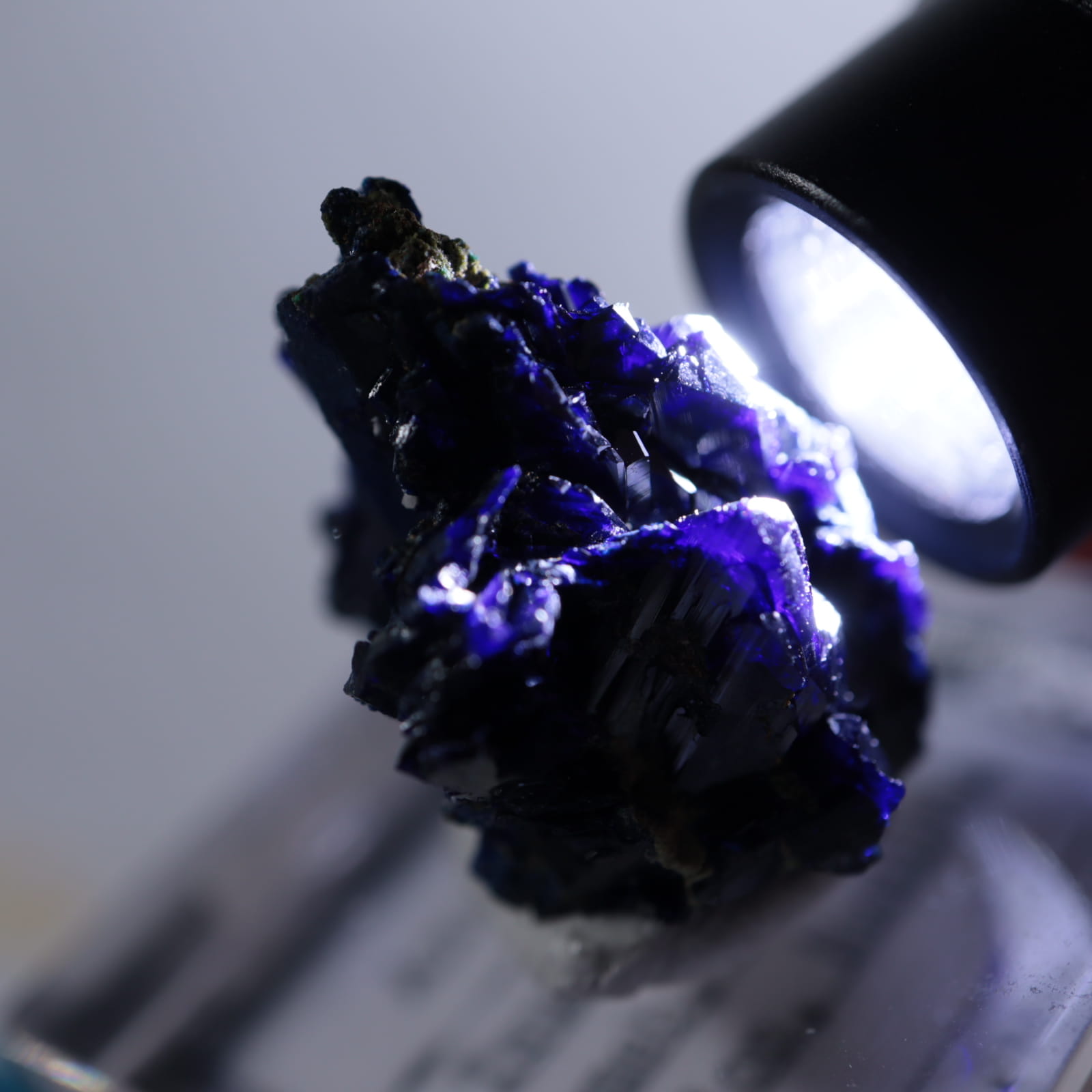 ツメブ鉱山 アズライト | 鉱物標本,ア行,アズライト/藍銅鉱