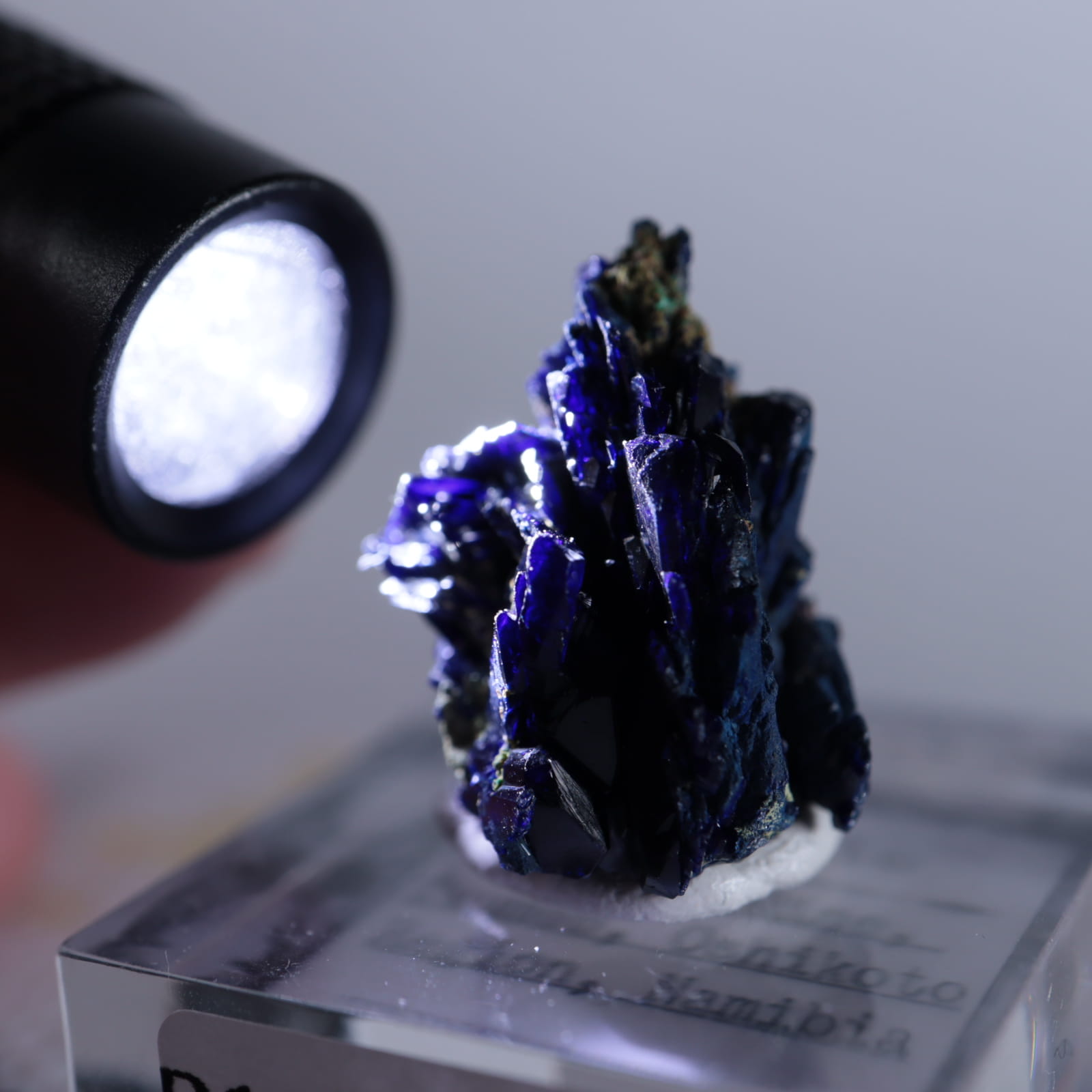 ツメブ鉱山 アズライト | 鉱物標本,ア行,アズライト/藍銅鉱 | ほたるみ