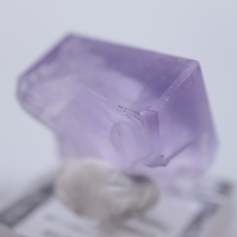 Llamas�����ե����饤��