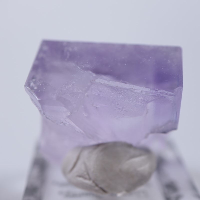 Llamas�����ե����饤��