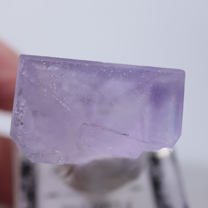 Llamas�����ե����饤��