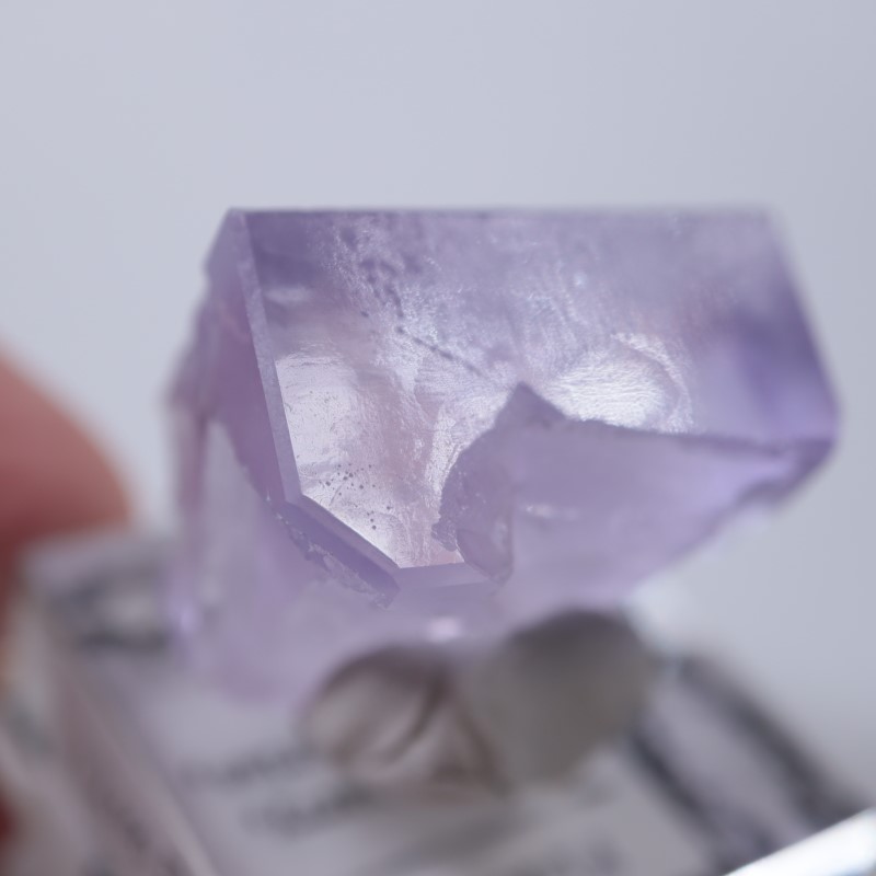 Llamas�����ե����饤��