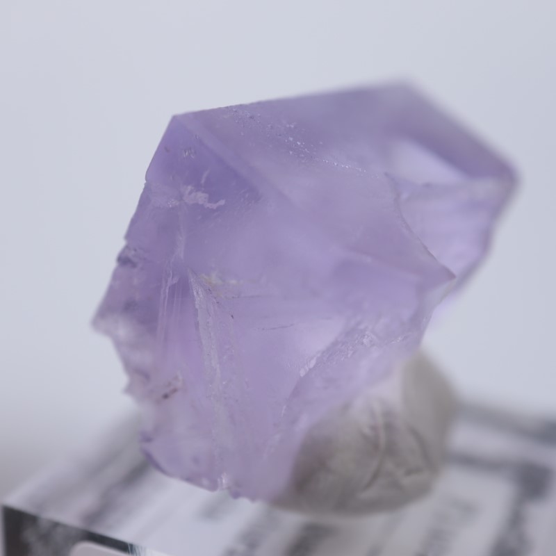 Llamas�����ե����饤��