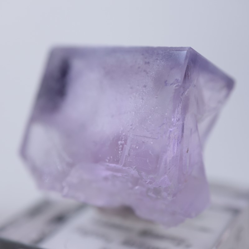 Llamas�����ե����饤��