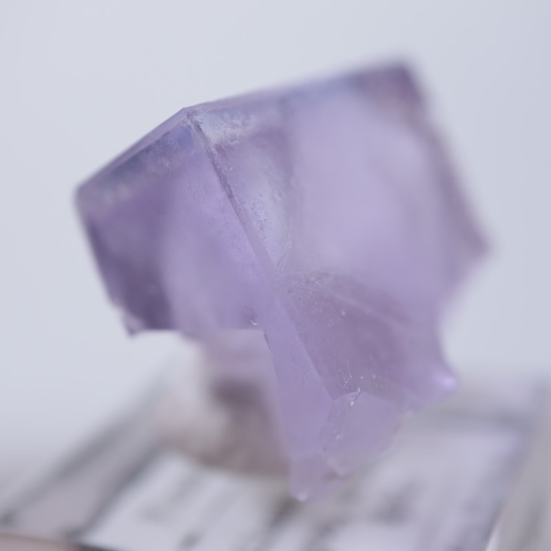 Llamas�����ե����饤��