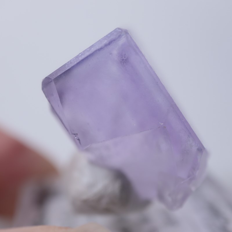 Llamas�����ե����饤��